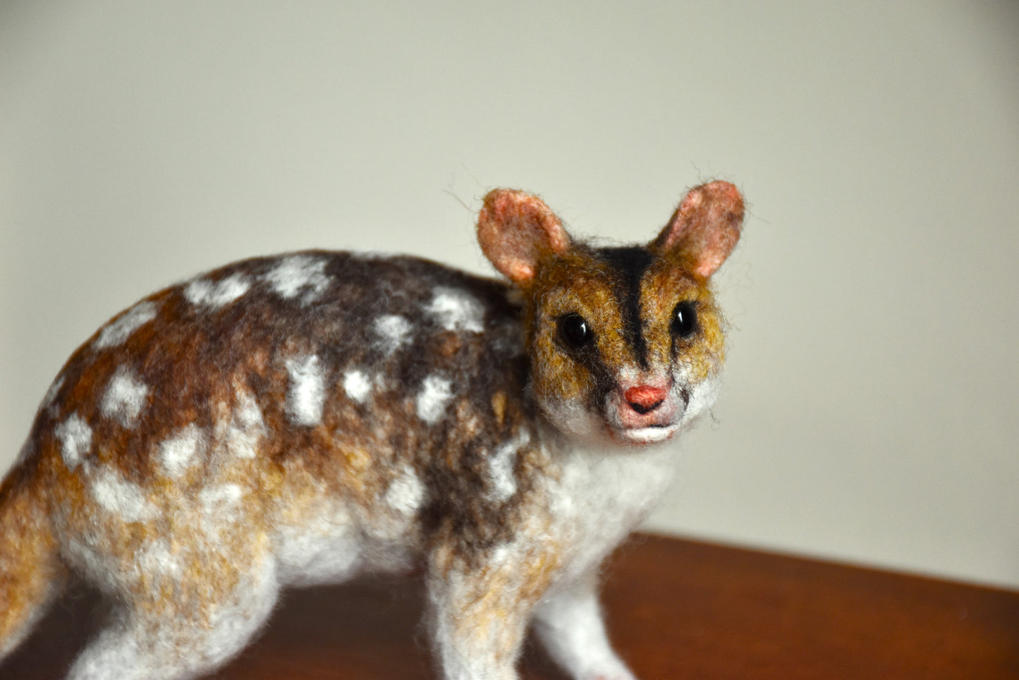 Needle Felted Friendly Quoll