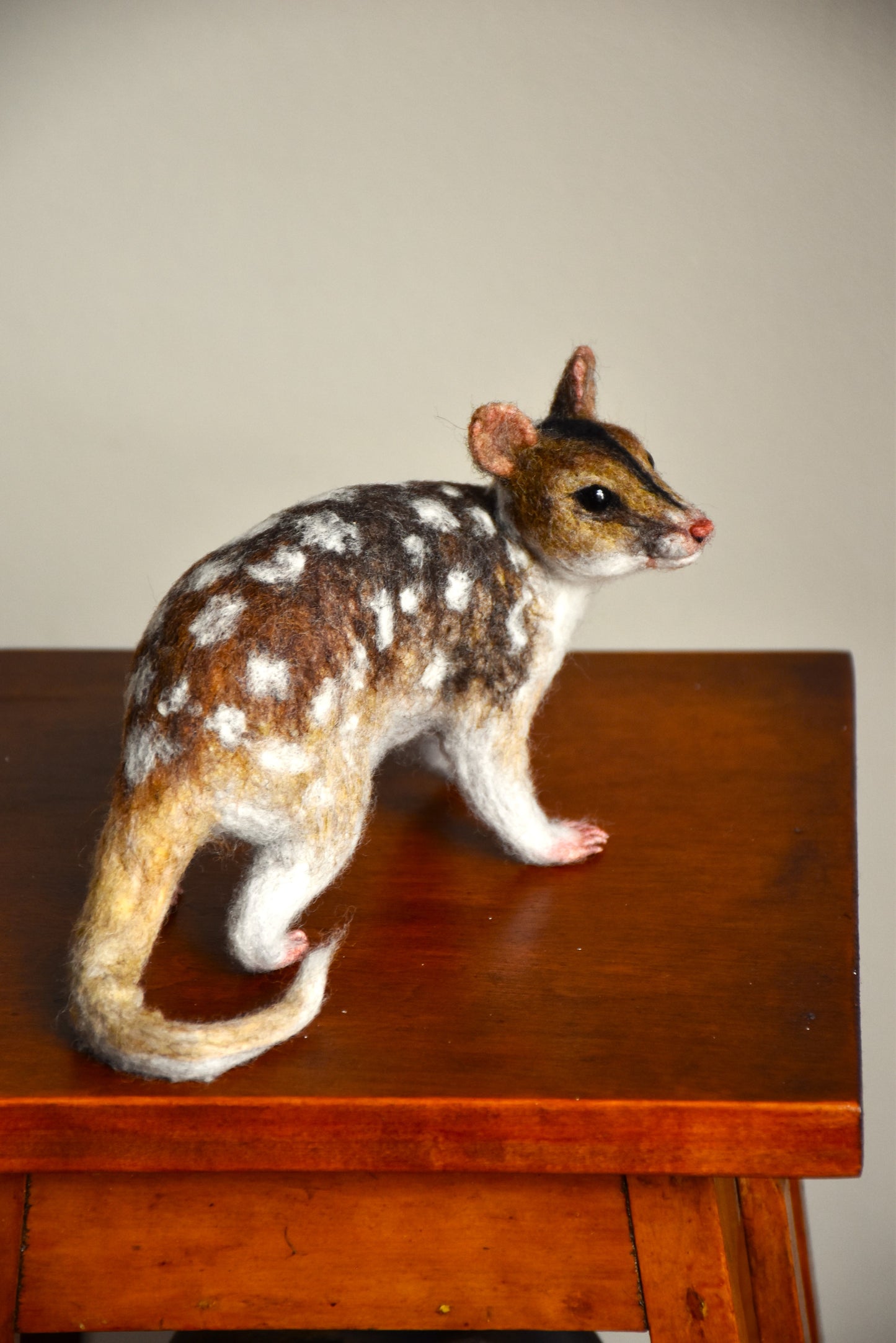 Needle Felted Friendly Quoll