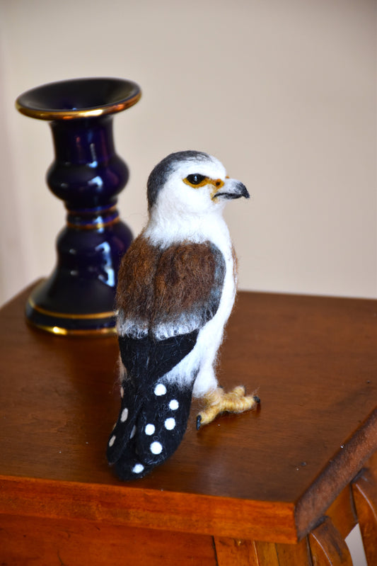 Needle Felted Pygmy Falcon