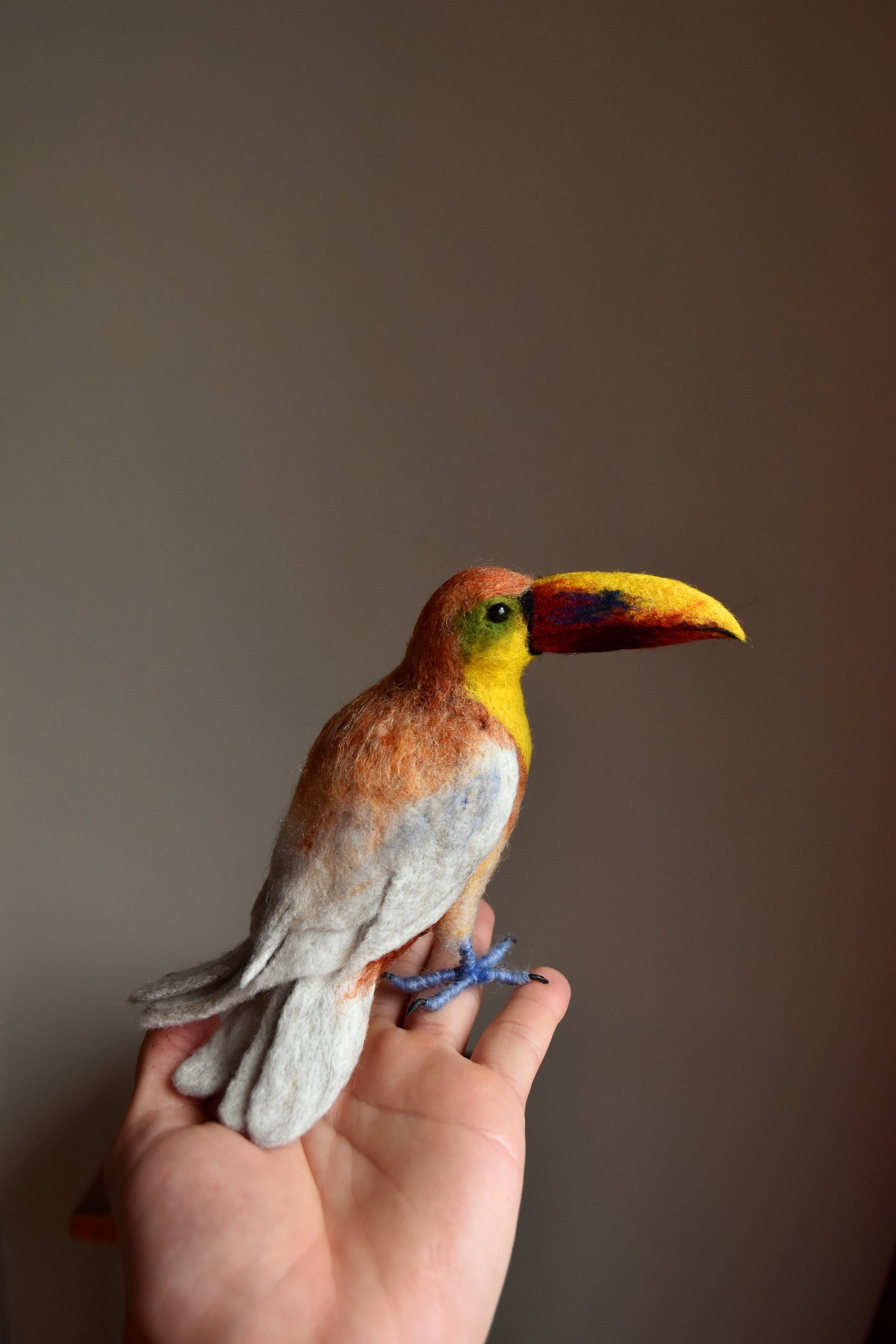 Needle Felted Toucan