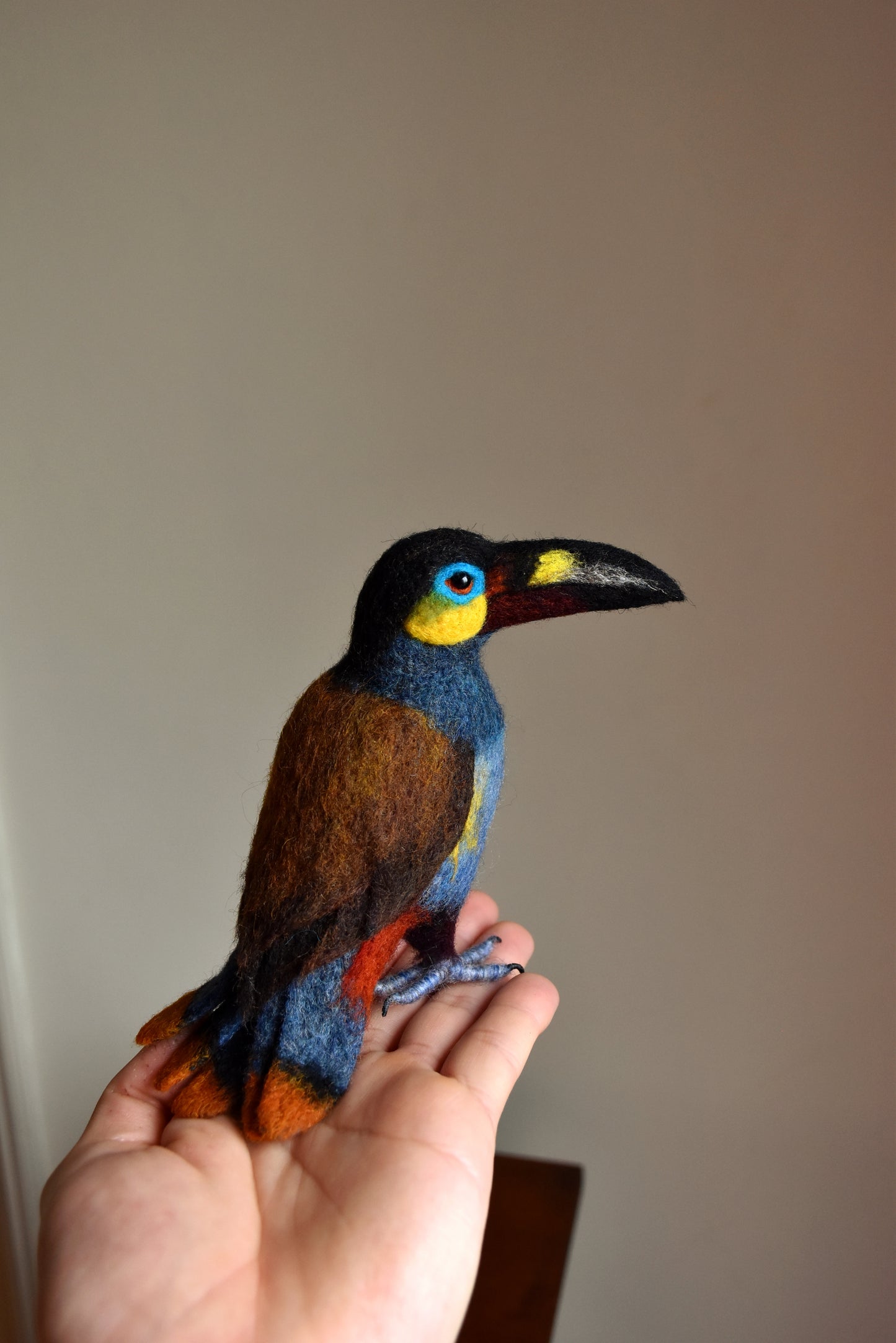 Needle Felted Toucan