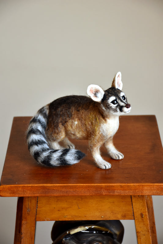 Needle Felted Cat Ringtail