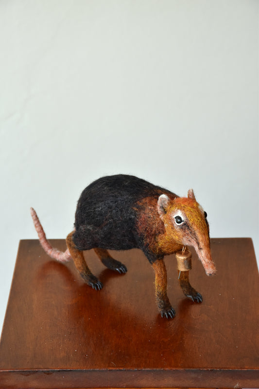 Needle Felted Elephant Shrew