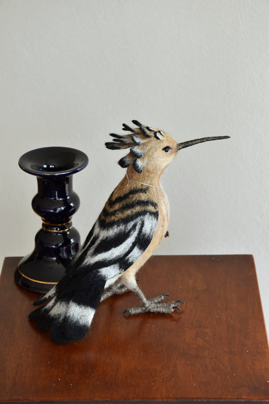 Needle Felted Hoopoe